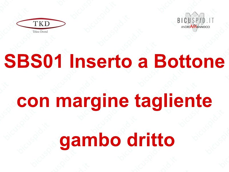 SBS01 Inserto a bottone con margine tagliente a gambo diritto