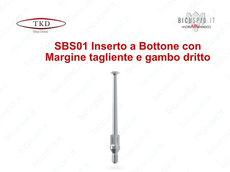 SBS01 Inserto a bottone con margine tagliente a gambo diritto