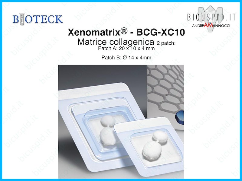 Matrice tissutale per alveoli XENOMATRIX BCG-XC10