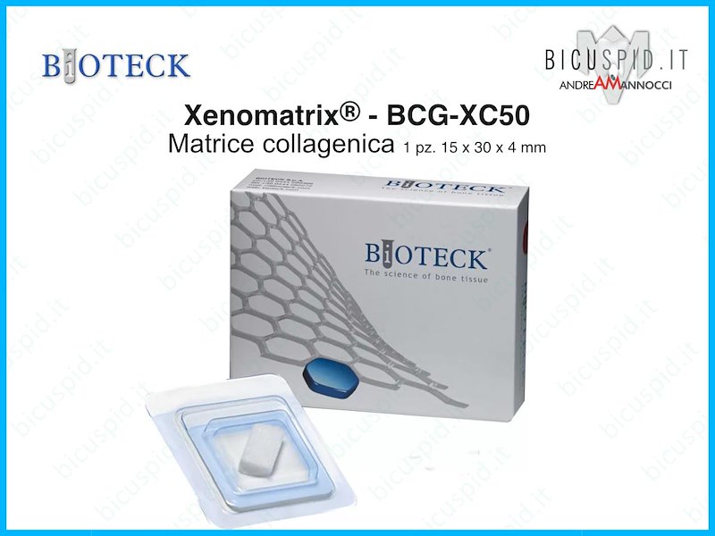 Matrice tissutale per recessioni XENOMATRIX BCG-XC50