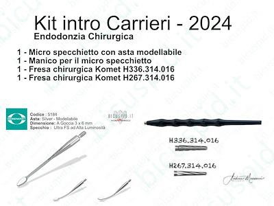 Corso Carrieri -  Endodonzia Chirurgica 2024 Micro specchietto  e frese per la chirurgia endodontica