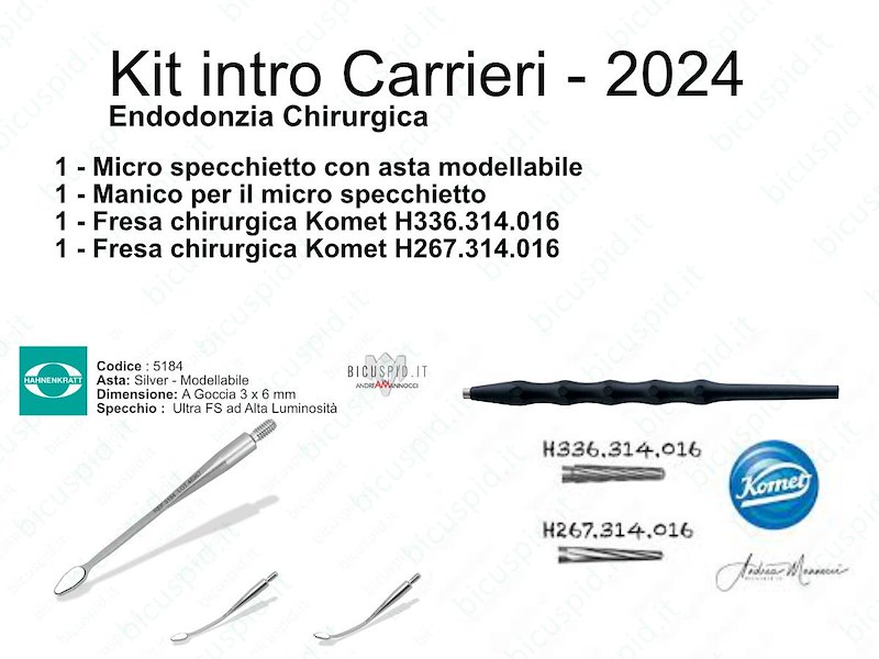 Corso Carrieri -  Endodonzia Chirurgica 2024 Micro specchietto  e frese per la chirurgia endodontica