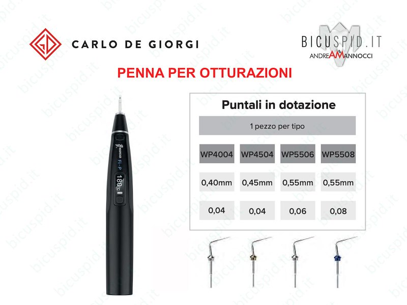 Fi-P Penna per otturazioni a condensazione verticale a caldo 566/00