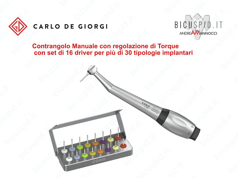 C-TW1 avvitatore protesico manuale e set di 16 driver 342/00