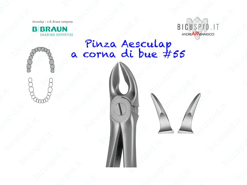 Pinza Aesculap a corna di bue DG805R