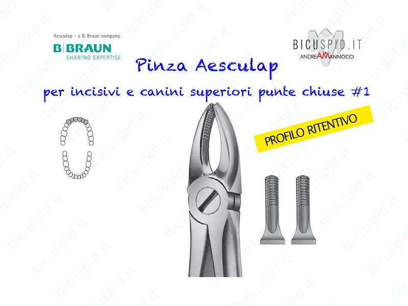 Pinza Aesculap per incisivi e canini superiori DH701R