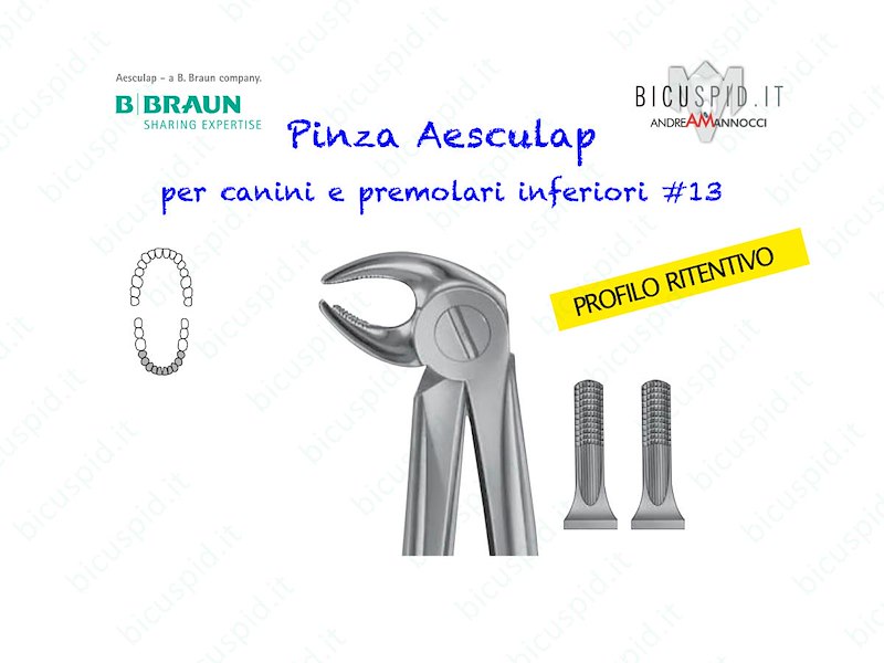 Pinza Aesculap per canini e premolari inferiori  DH713R 