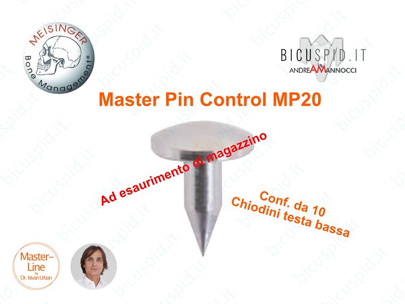 Master Pin Chiodini  testa bassa Meisinger MP20