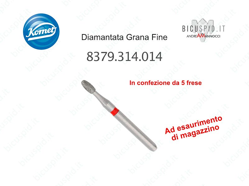 Frese Komet Diamantate Grana Fine 8379.314.014