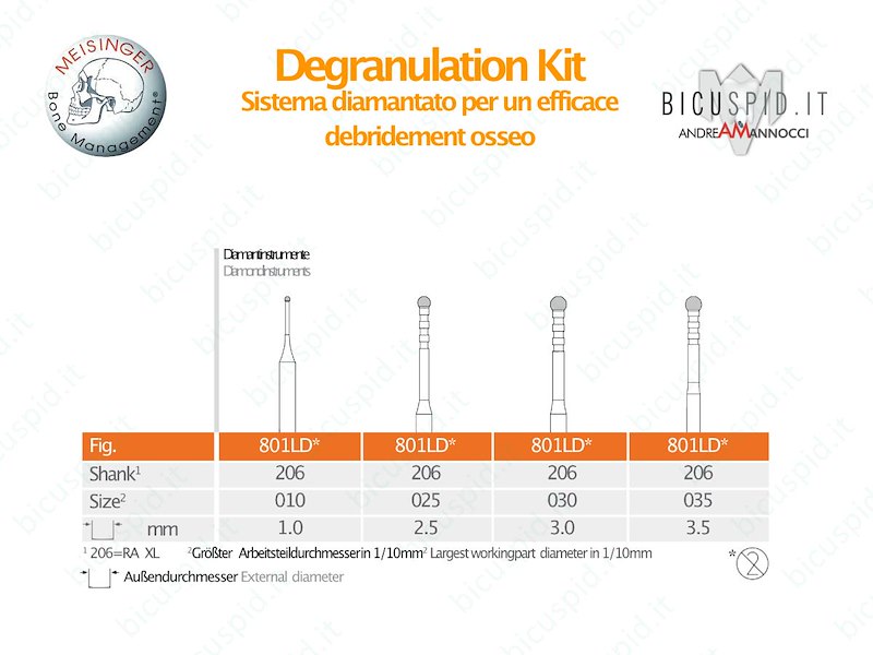Degranulation Kit Meisinger