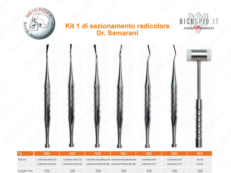 Kit 1 sezionamento radicolare Dr. Samarani BRSS1