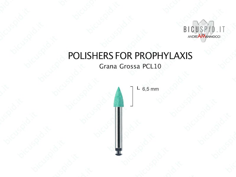 Polishers for prophylaxis Verde Grana Grossa PCL10 Meisinger