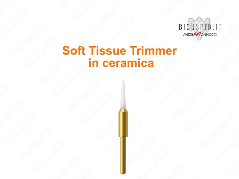 Soft Tissue Trimmer 250-016-FG