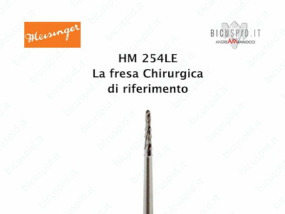 Fresa Chirurgica Meisinger HM254LE