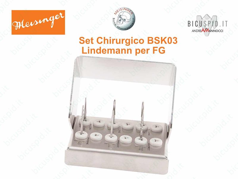 Set di frese per la chirurgia ossea BSK03 Mesinger