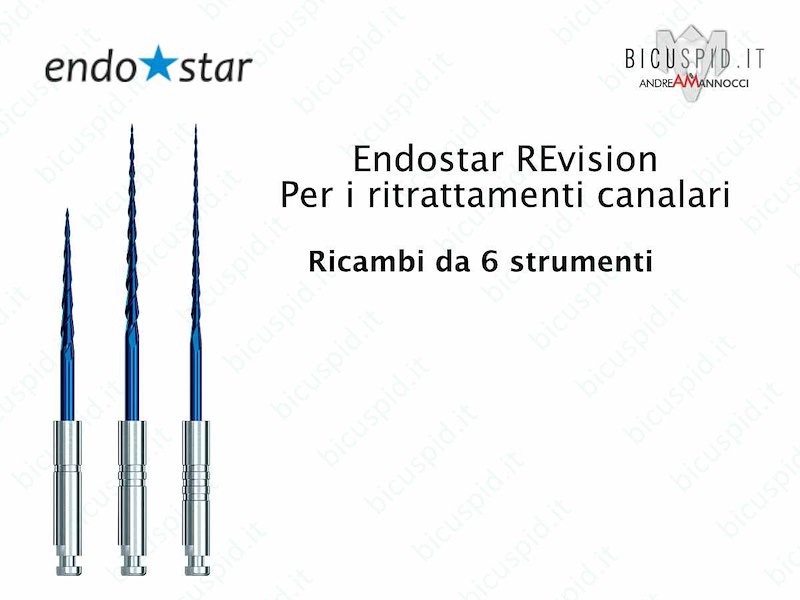 EndoStar REvision RICAMBI