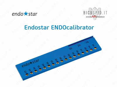 Endostar ENDOcalibrator EEC