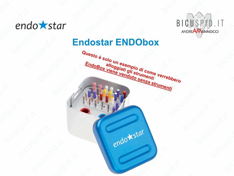 Endostar ENDObox  contenitore per strumenti endodontici EEB