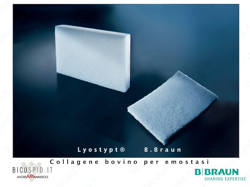 Lyostypt Collagene Bovino per Emostasi 3 cm  x 5 cm -12 pz. 1069128