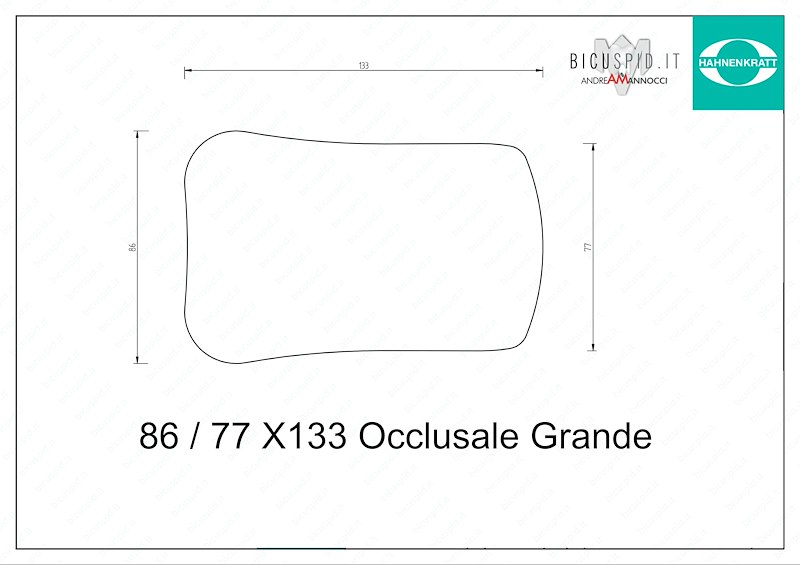 6300X7 Specchio senza manico Hahnenkratt FS Rhodium- due facce - Occlusale Grande