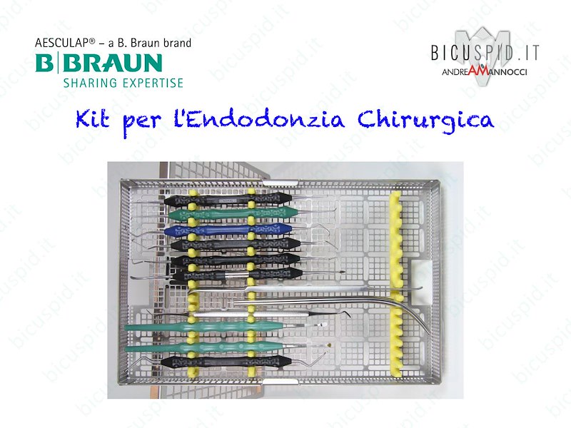 KIT N°3 - Kit strumenti per l'endodonzia chirurgica