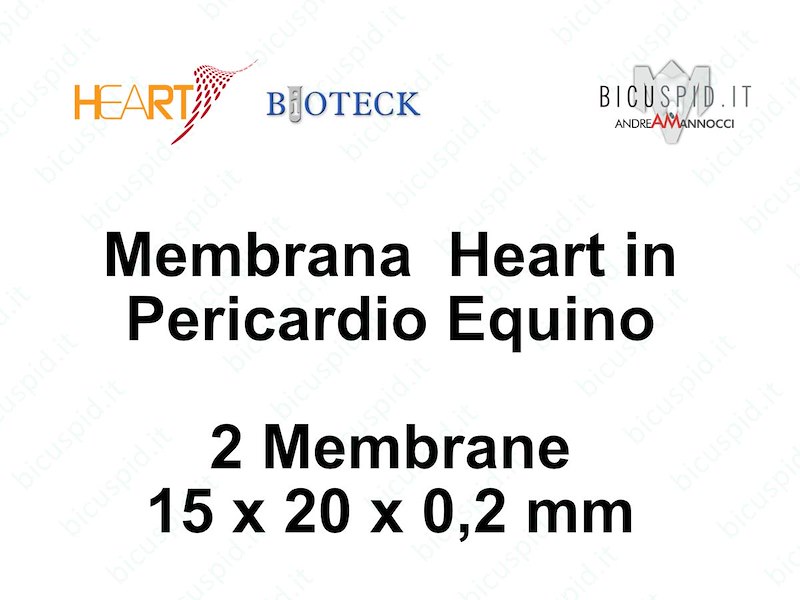 HRT-003 Heart Membrana in Pericardio Equino 15 x 20 x 0,2 mm - Box da 2 membrane