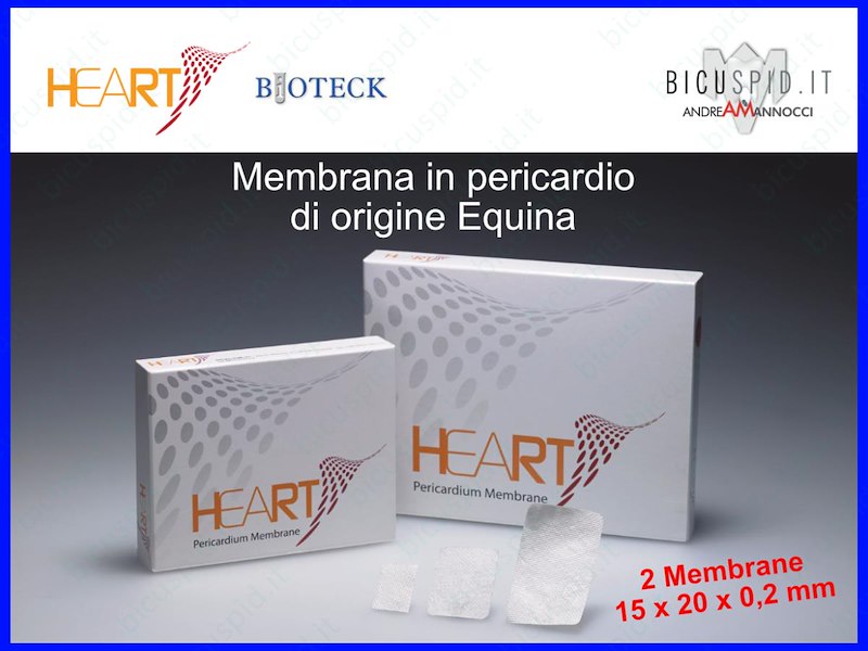 HRT-003 Heart Membrana in Pericardio Equino 15 x 20 x 0,2 mm - Box da 2 membrane