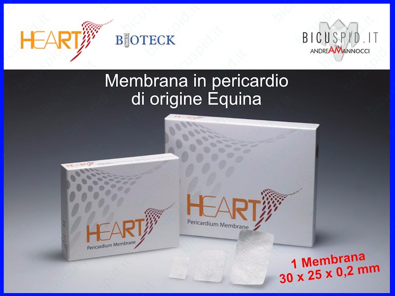 HRT-001 Heart Membrana in Pericardio  Equino  30 x 25 x 0,2 mm - Box da 1 membrana