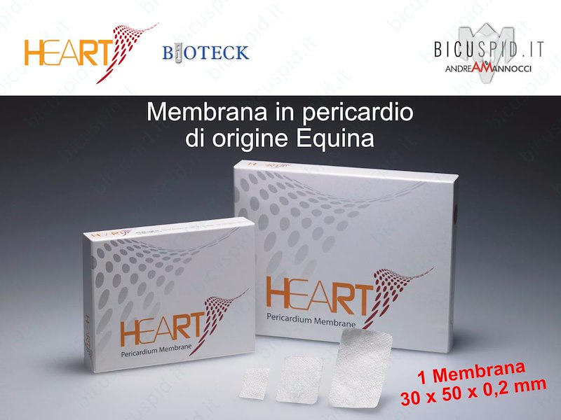HRT-002  Heart Membrana in Pericardio Equino 30 x 50 x 0,2 mm - Box da 1 membrana