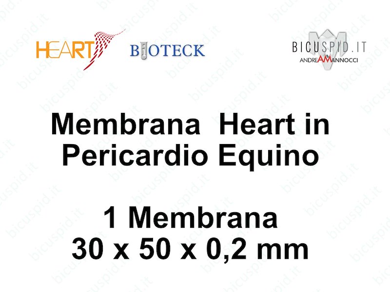 HRT-002  Heart Membrana in Pericardio Equino 30 x 50 x 0,2 mm - Box da 1 membrana