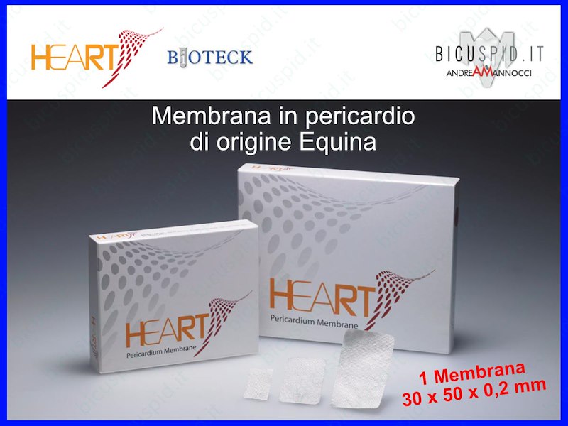 HRT-002  Heart Membrana in Pericardio Equino 30 x 50 x 0,2 mm - Box da 1 membrana
