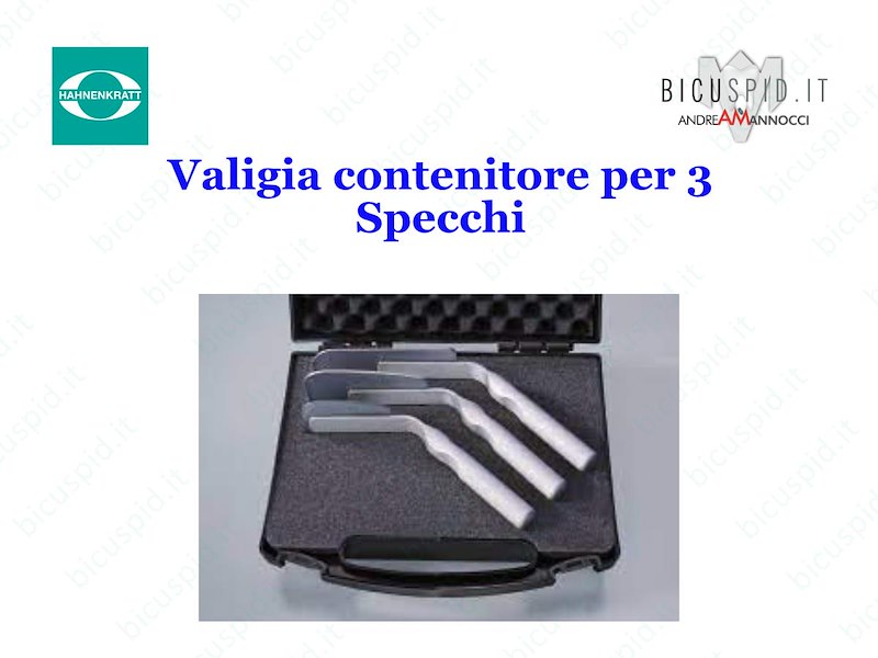 6660KO  Valigia per trasporto specchi
