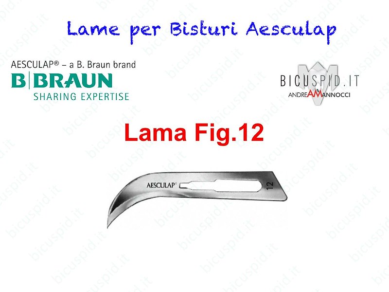LAME FIG. 12 per bisturi - Aesculap - Sterili - CONF. DA 100 LAME  - COD. BB512
