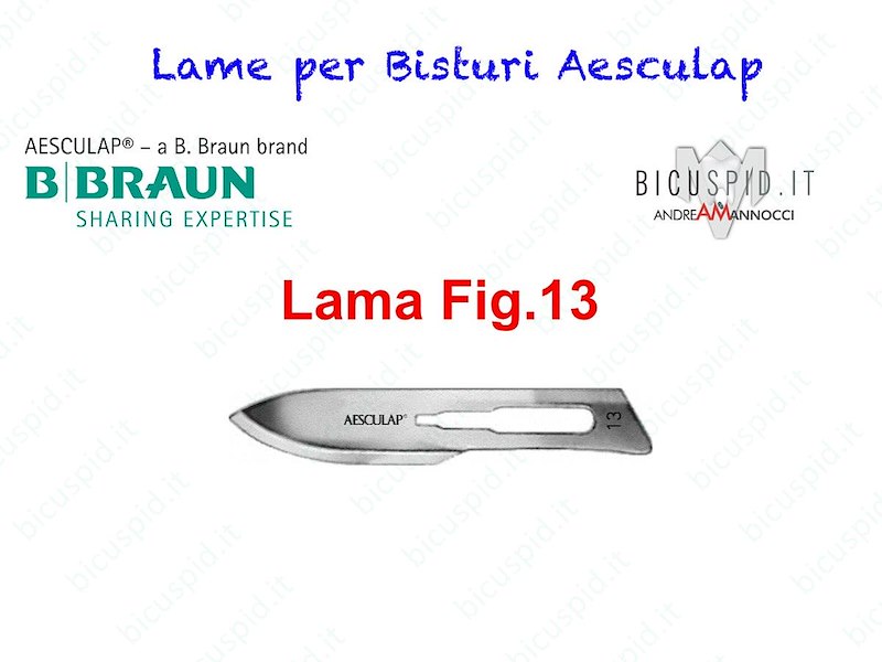 LAME FIG. 13 per bisturi - Aesculap - Sterili - CONF. DA 100 LAME  - COD. BB513