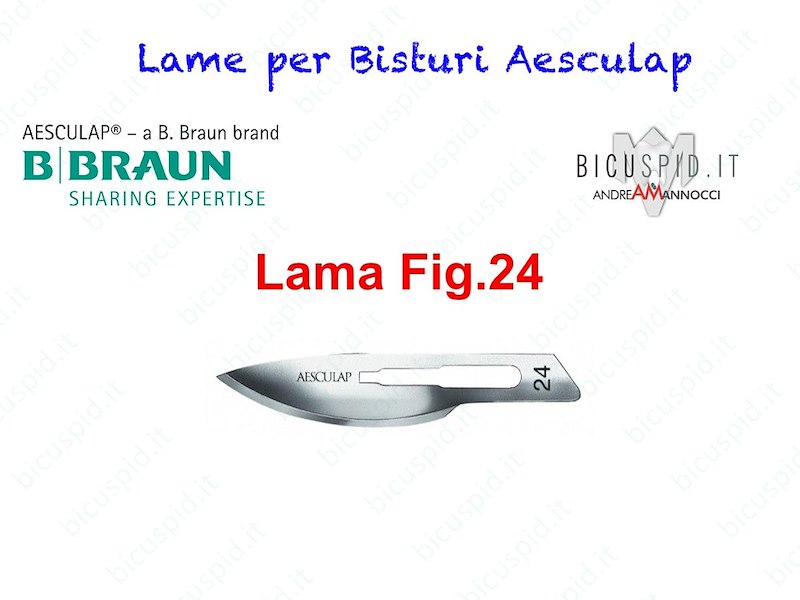LAME FIG. 24 per bisturi - Aesculap - Sterili - CONF. DA 100 LAME  - COD. BB524