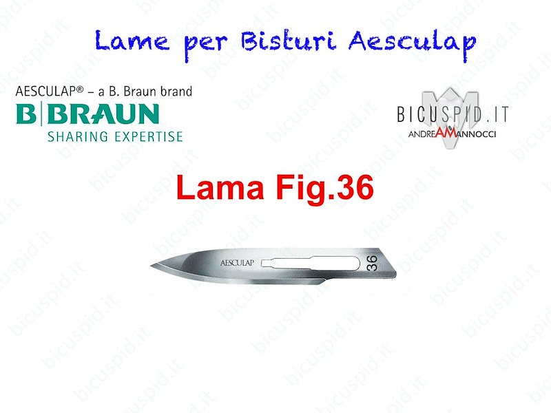 LAME FIG. 36 per bisturi - Aesculap - Sterili - CONF. DA 100 LAME  - COD. BB536