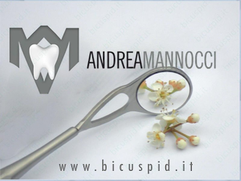 Specchietti  ULTRA FS ad alta luminosità - Hahnenekratt misura 4 (22mm) - Box da 6 specchietti - mod. 6690