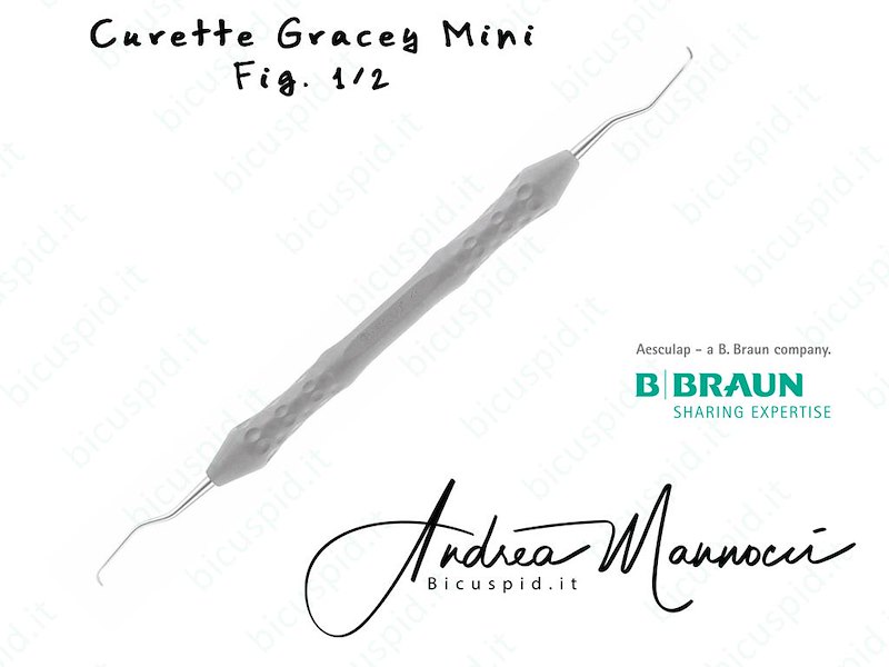 DB470R Curette Mini Gracey fig. 1/2