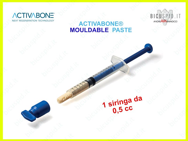 ACT-MLD005 Activabone Mouldable,  Pasta Ossea Modellabile, 1 siringa 0,5 cc