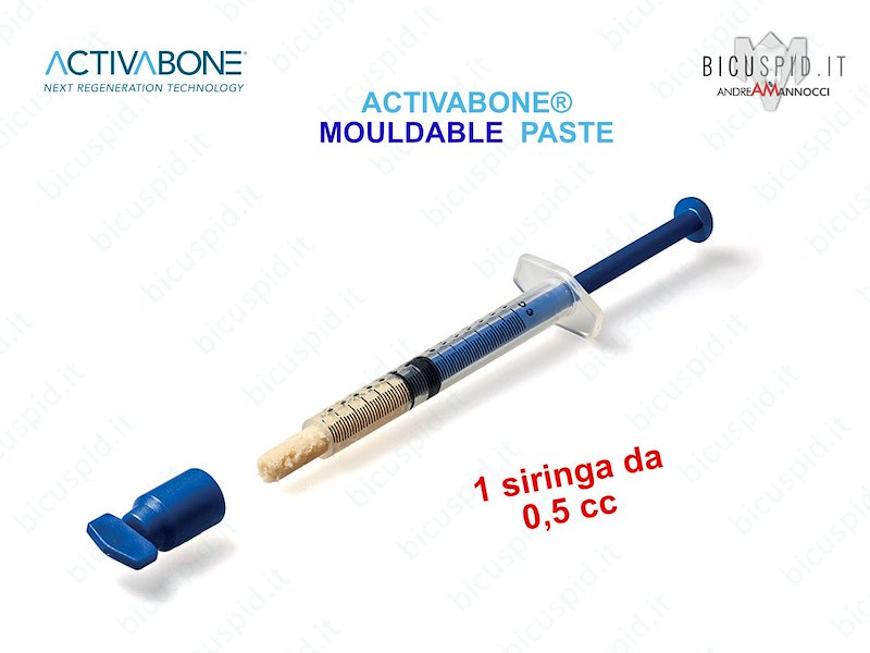 ACT-MLD005 Activabone Mouldable,  Pasta Ossea Modellabile, 1 siringa 0,5 cc