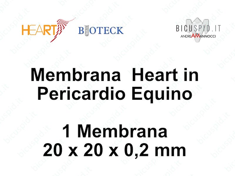 HRT-005n Heart Membrana in Pericardio Equino 20 x 20 x 0,2 mm - Box da 1 membrana
