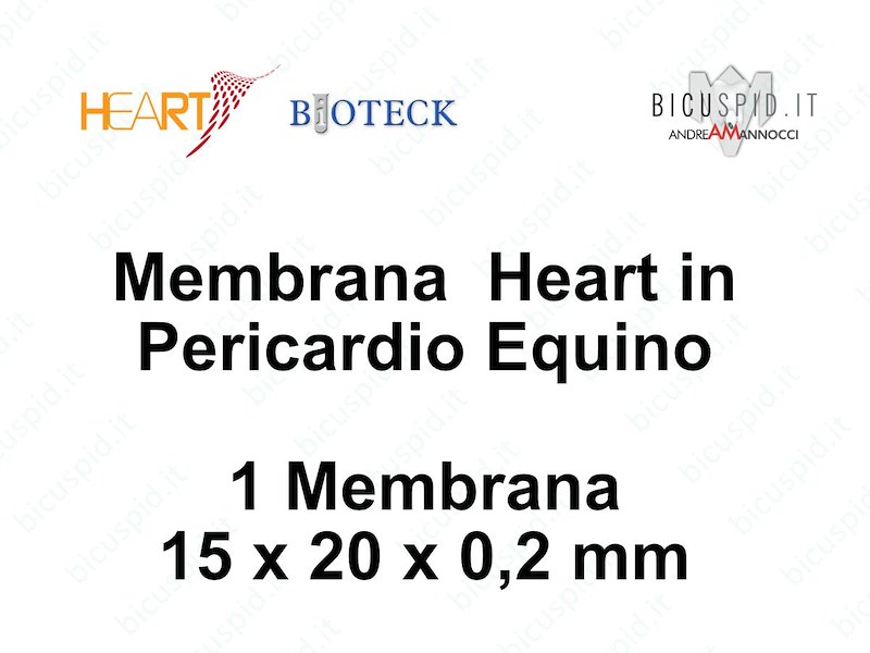 HRT-003n Heart Membrana in Pericardio Equino 15 x 20 x 0,2 mm - Box da 1 membrane