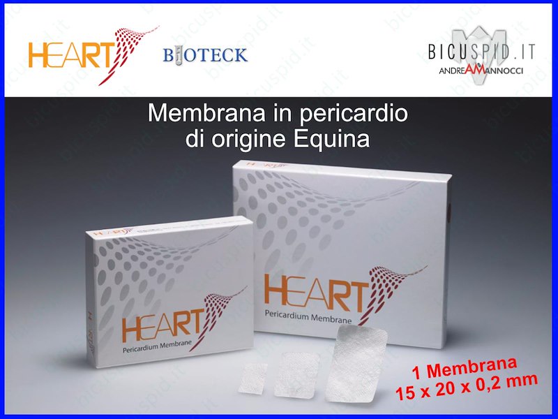 HRT-003n Heart Membrana in Pericardio Equino 15 x 20 x 0,2 mm - Box da 1 membrane