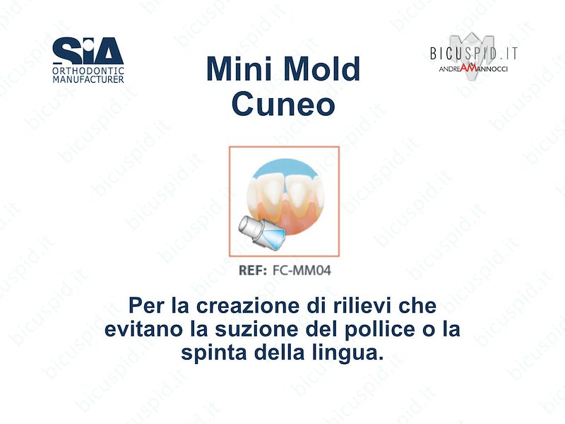 FC-MM04 Mini Mold  Cuneo 