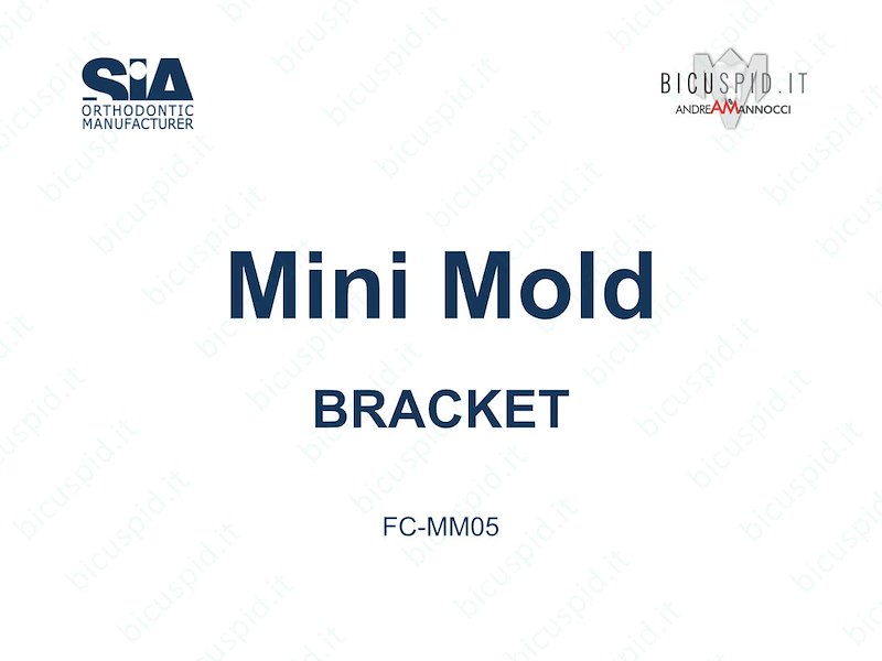 FC-MM05 Mini Mold  Bracket