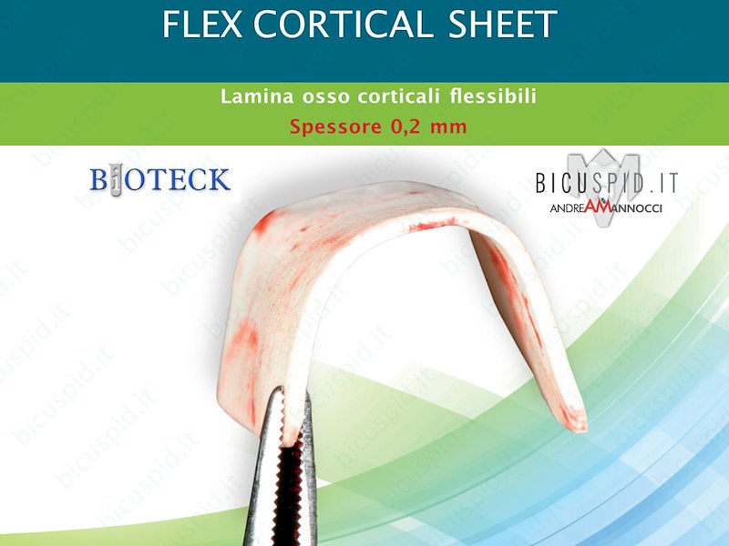 Lamina Corticale Spessore  0,2 mm in Osso Flessibile Flex Cortical Sheet  OX03 