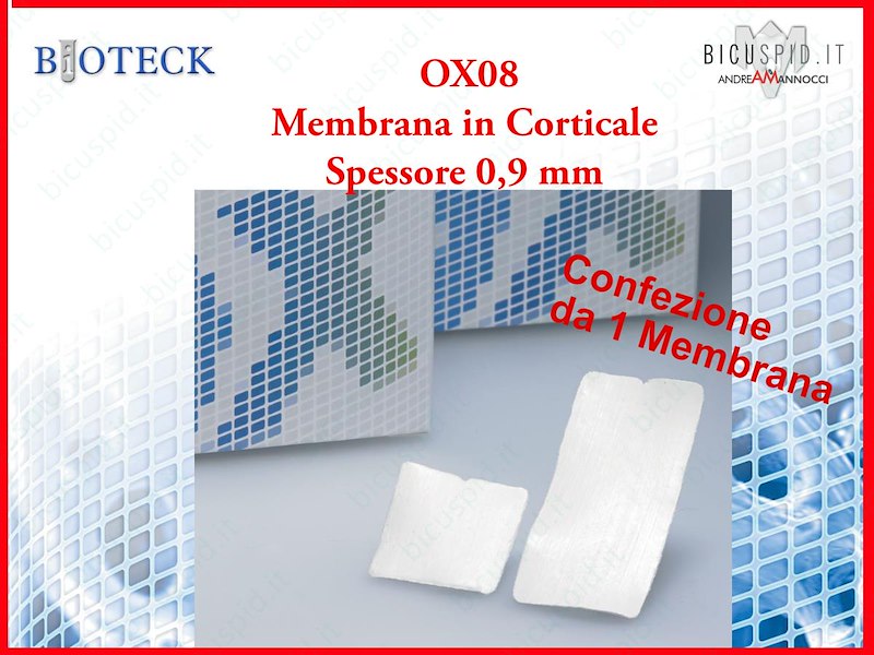 Membrana di Corticale Spessore 0,9 mm in Osso Flessibile Flex Cortical Sheet  OX08