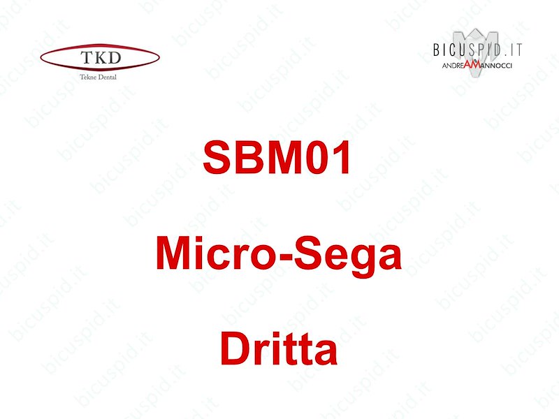SBM01 inserto sonico a  sega con gambo dritto - micro lama dritta