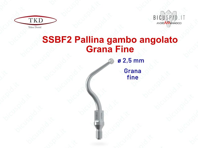 SSBF2 Inserto Sonico a  Pallina con Gambo Angolato - Grana Fine